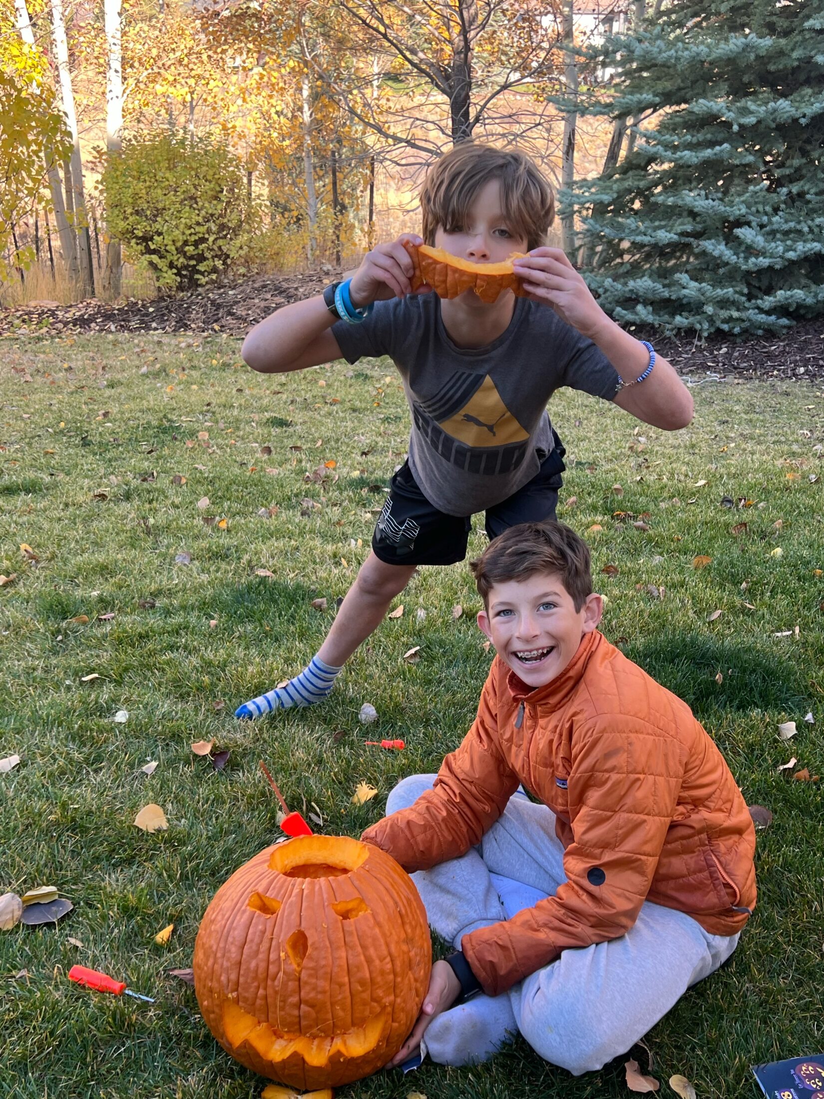 halloween, pumpkin carving, jaime shrayber