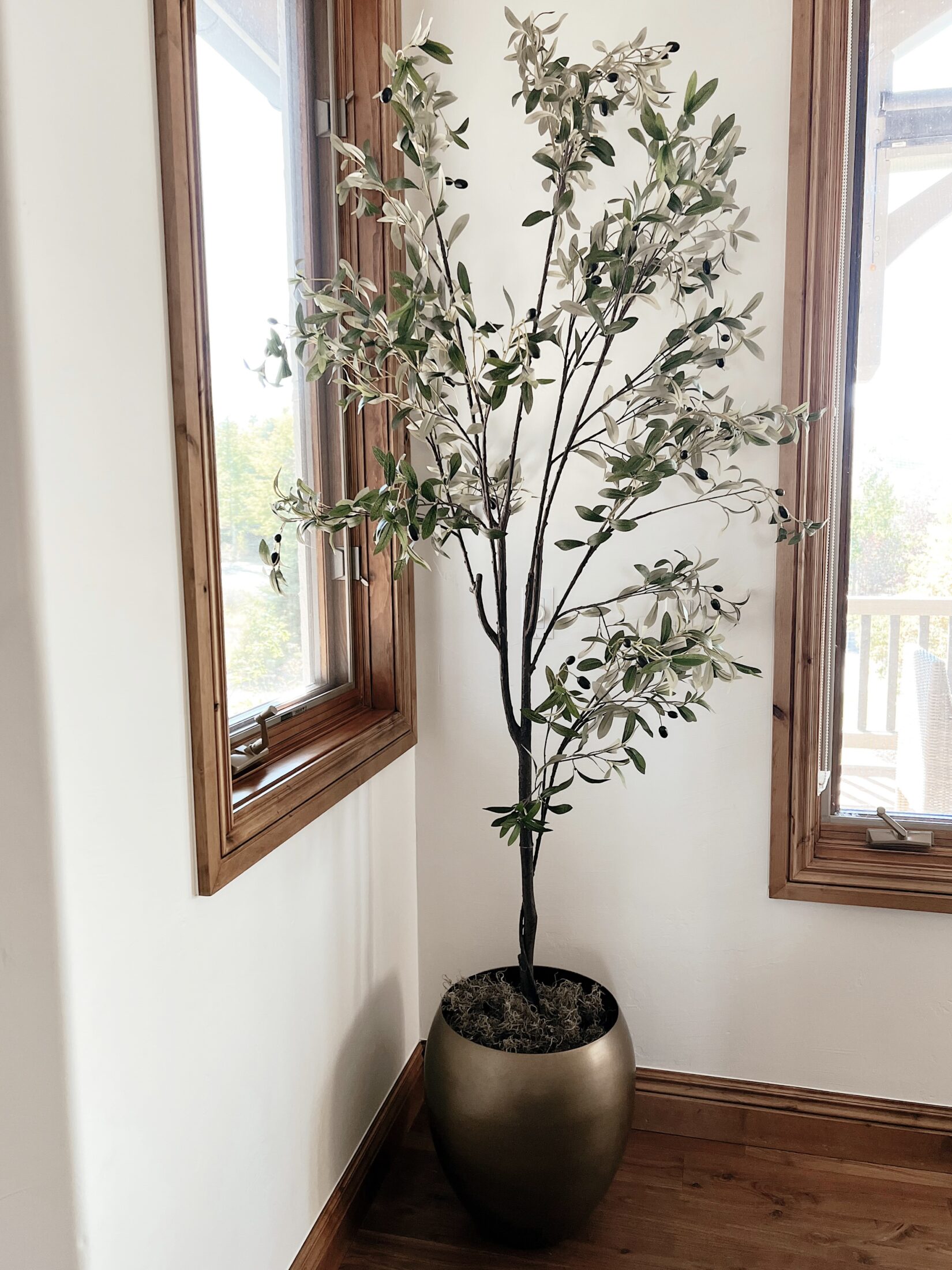 amazon home, fashion blogger, olive tree